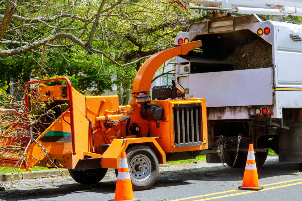 Best Tree Mulching  in Roaring Spring, PA