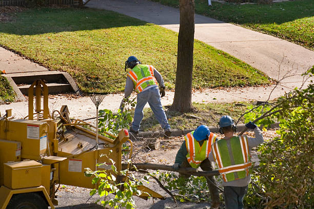 Best Leaf Removal  in Roaring Spring, PA